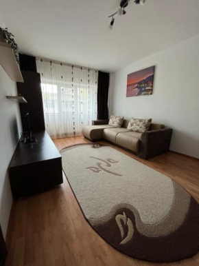 Apartament Ilinca